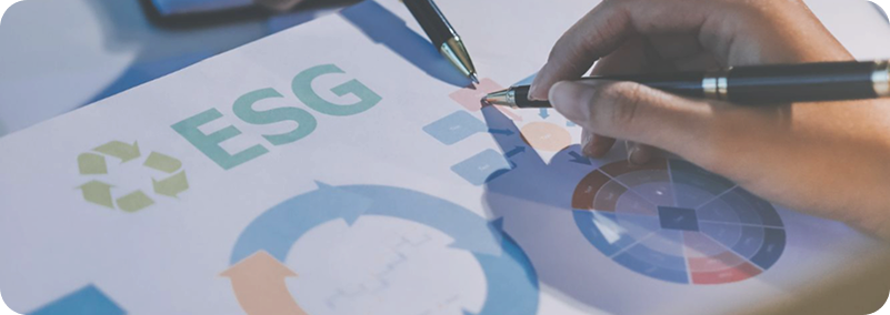 Research & Strategise