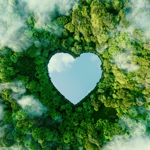 Advance Awareness on Organ Donation